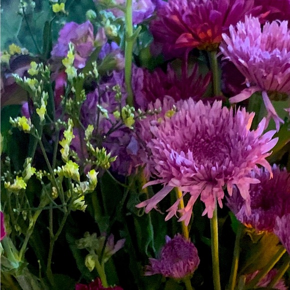 Meet your Posher - Picture 1 of 1